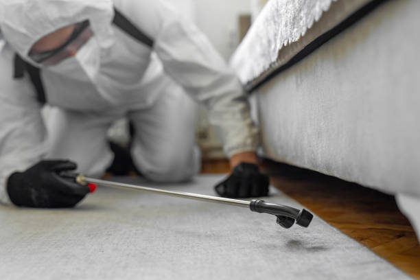 Professional Pest Control technician working in Madison County County, NY